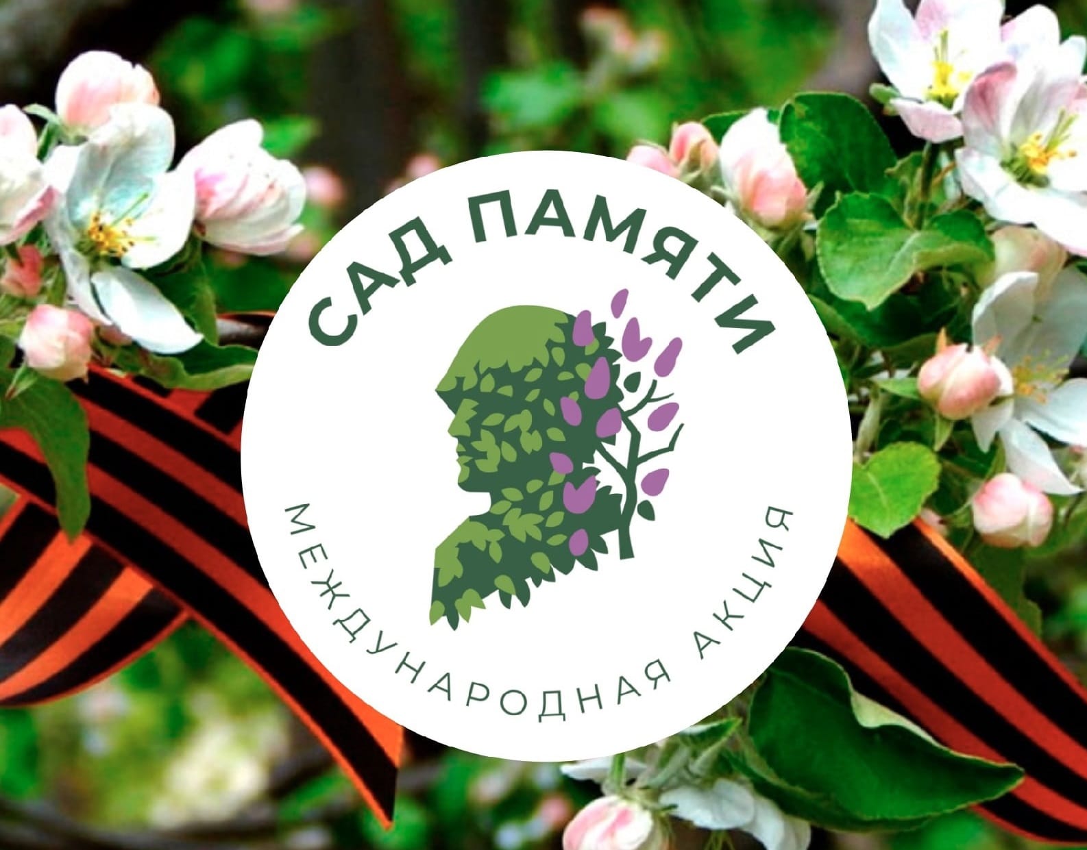 Изображение WhatsApp 2025-04-21 в 17.29.35 61ae73ec