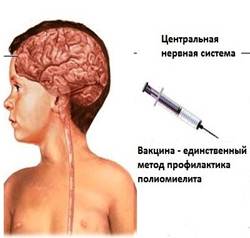 уа342342342342